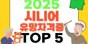 2025년 시니어 자격증 top5