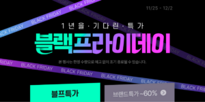2024년 쿠팡 블랙프라이데이 특가 할인